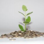 Kome novac stiže U MAJU?