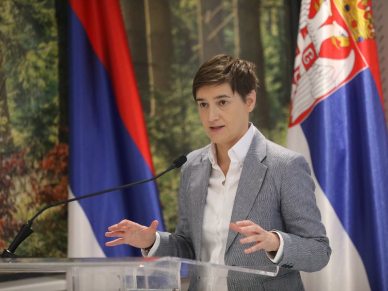 ANA BRNABIĆ