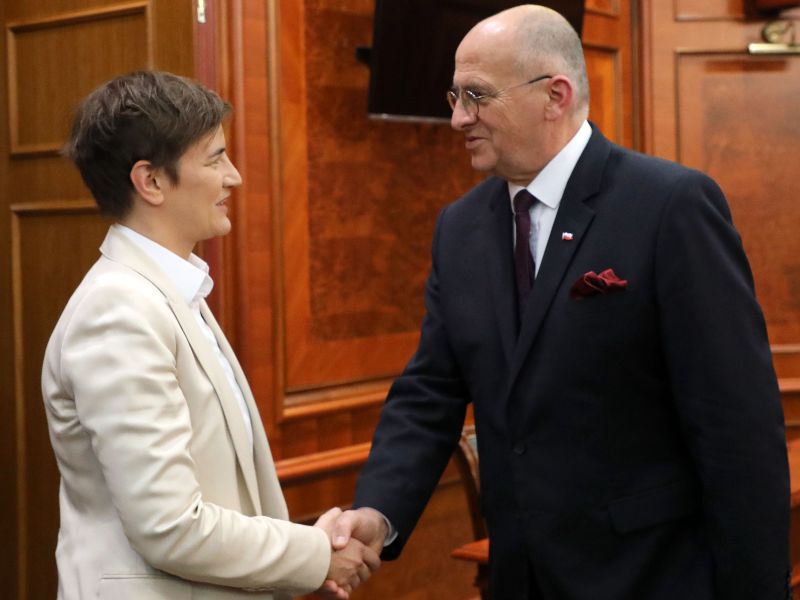 brnabić