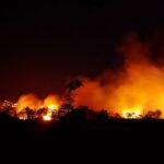 Požar na Staroj planini, vatrogasci na terenu