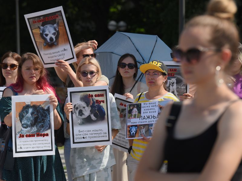 PROTEST ZIVOTINJE