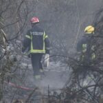 Koliko će trebati vremena da se obnovi DELIBLATSKA PEŠČARA?