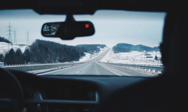 AMERIKA: Vanredno zbog snega