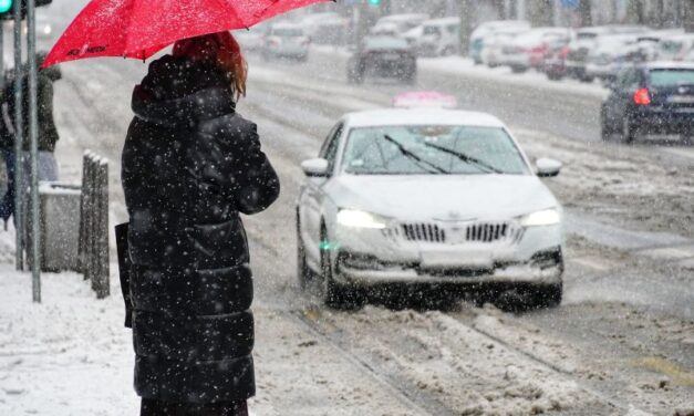 SNEG: Problemi i u regionu