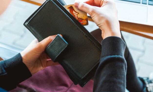 PLATE SU PRIVID: 1000e kao nekada 500e