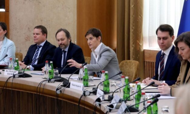 BRNABIĆ RAZGOVARALA SA PREDSTAVNICIMA RADNE GRUPE SAVETA EU – COELA