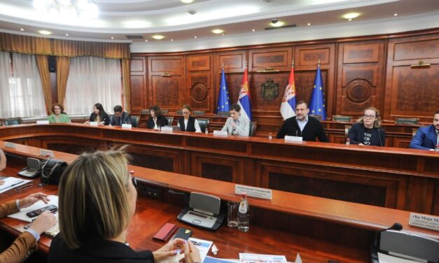 RADNA GRUPA ZA PODRŠKU MENTALNOM ZDRAVLЈU I SIGURNOSTI MLADIH POČELA SA RADOM