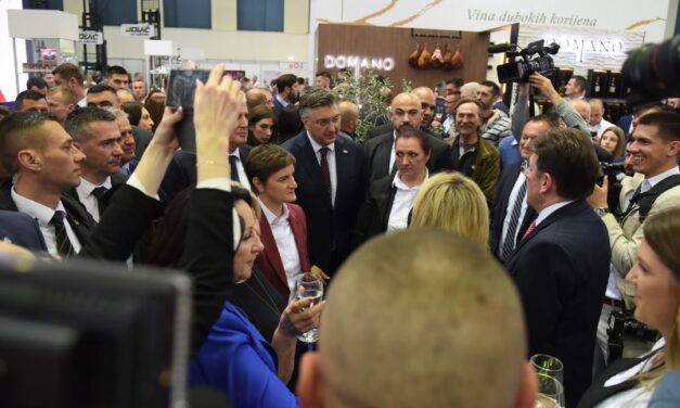BRNABIĆ: BOSNA I HERCEGOVINA NAM JE VAŽAN SPOLJNOTRGOVINSKI PARTNER