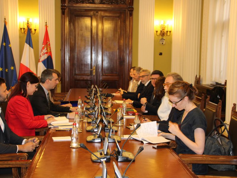 orlić