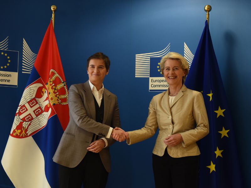 brnabić