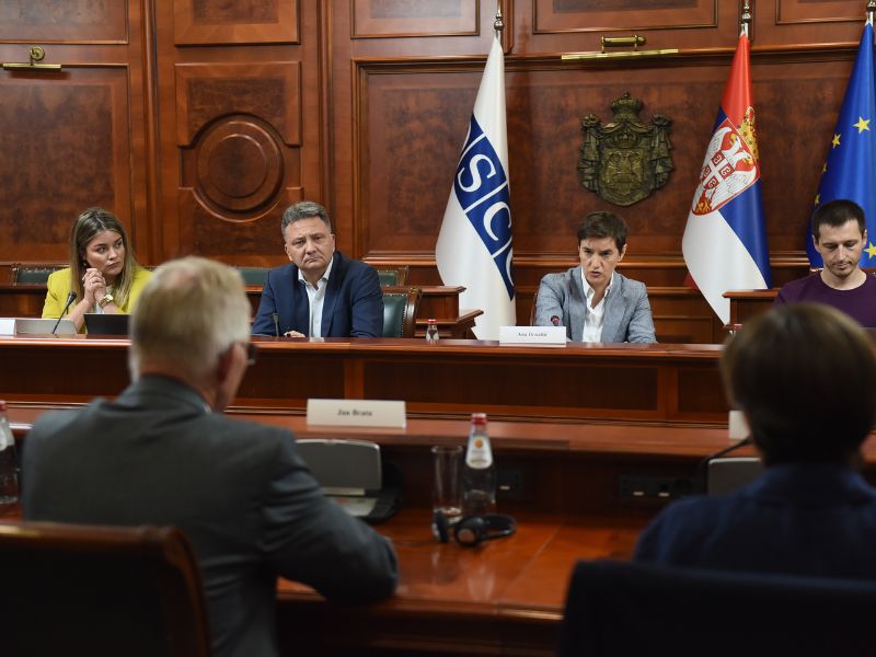 brnabić