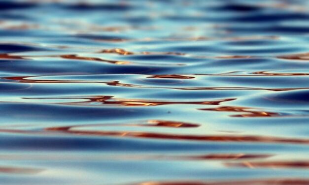 SRBIJA ULAŽE U SISTEME: Voda je ključ života