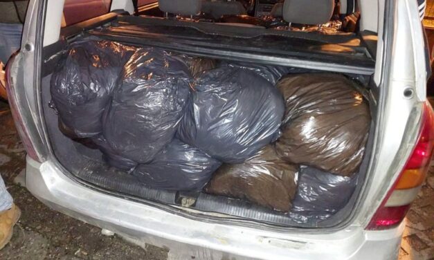 KRUŠEVAC: Zaplena narkotika od  50 miliona evra!