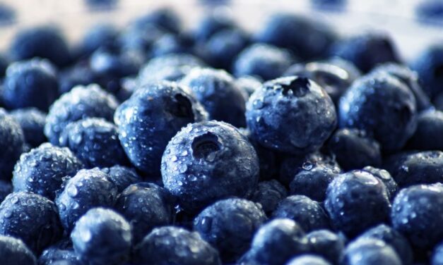 Ovo voće najbolje OBNAVLJA JETRU