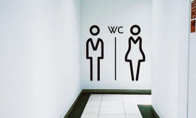 WC: Neprijatni mirisi i kamenac NESTAJU UZ OVAJ TRIK