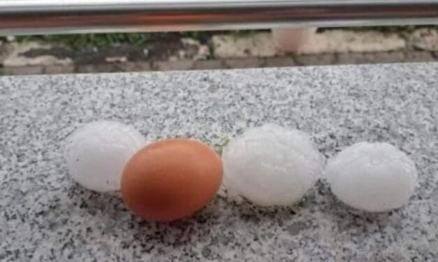 NEVREME U SJENICI I TUTINU