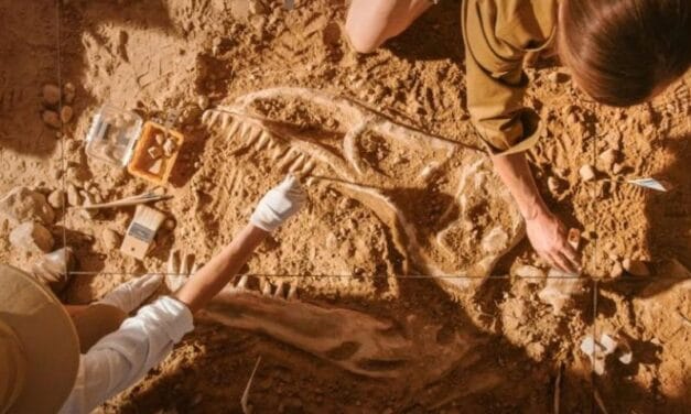 PRA-DAŽDEVNJAK: Naučnici otkrili fosile predatora koji je postojao pre dinosaurusa