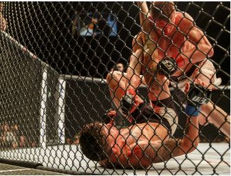 Fudbal nam ne ide, ALI SRBIJA IMA PRVAKA!