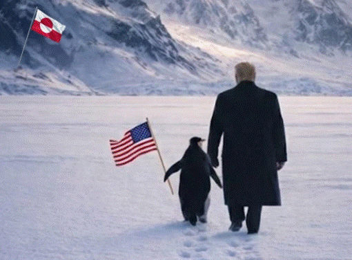 PROVOKACIJA BELE KUĆE: I pingvin voli Trampa?