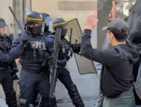Uhapšeno 1800 demonstranata na ulicama Francuske!